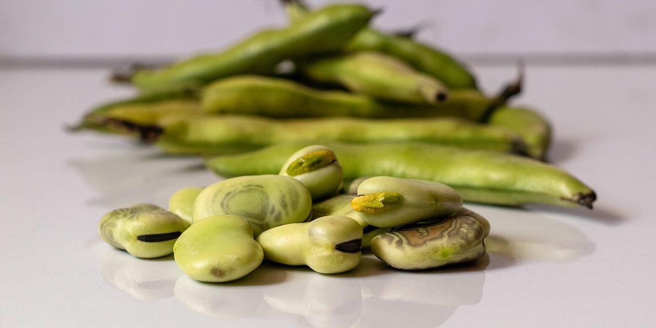 Rabarbar, bób, maliny – z warzywniaka Lokalnego Rolnika