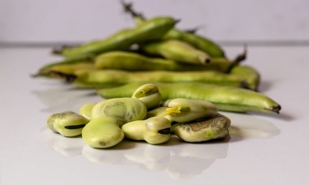 Rabarbar, bób, maliny – z warzywniaka Lokalnego Rolnika