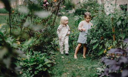 Sensoryczne ogrody – jaki mają wpływ na rozwój dzieci niewidomych?