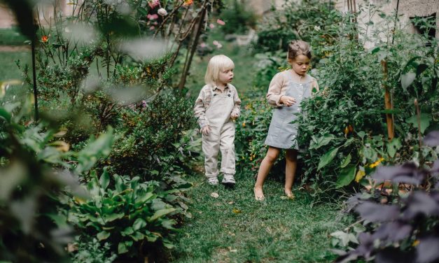 Sensoryczne ogrody – jaki mają wpływ na rozwój dzieci niewidomych?